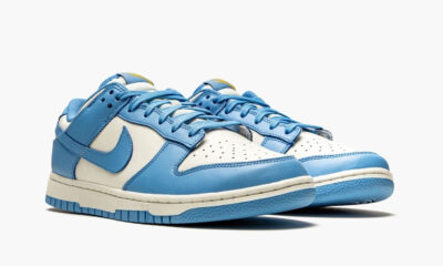 Nike Dunk Low Coast