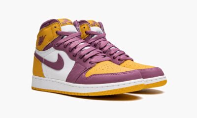 Air Jordan 1 Retro High OG GS Brotherhood